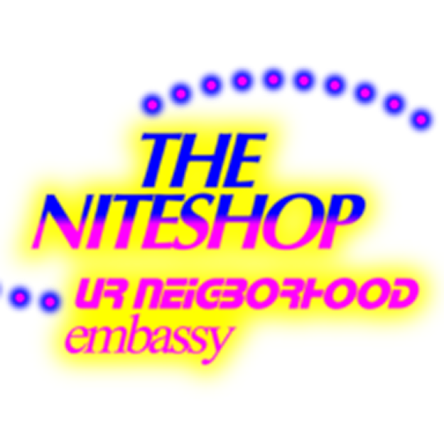 Niteshop Data logo